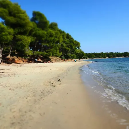 Apartment La : Proche Plages & Vue Superbe Sur Les Iles D'or